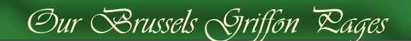 Our Brussels Griffon Pages